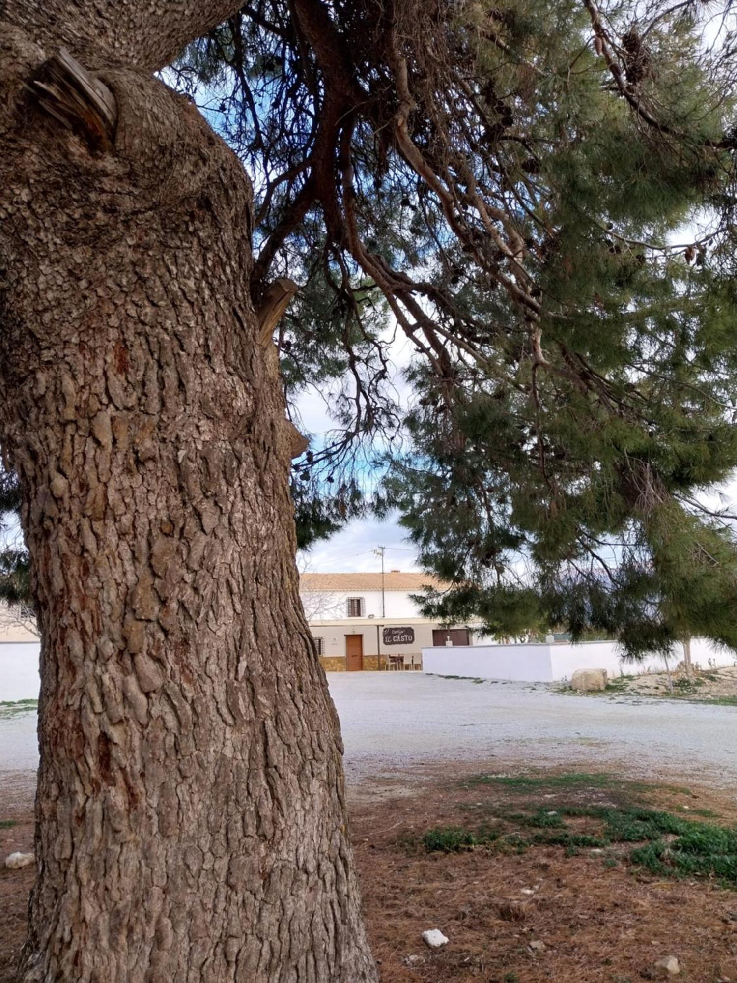 Casa de Férias Cortijos Rurales Castril, El Casto Castril